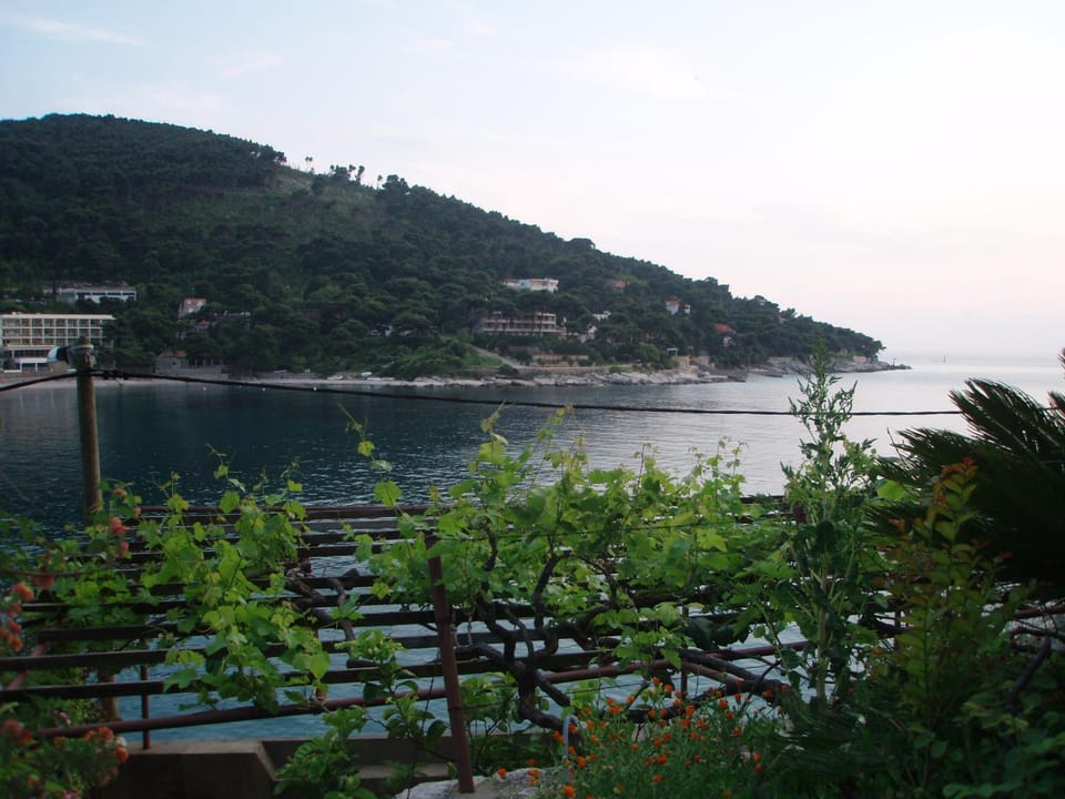 Garden, View (from property/room)