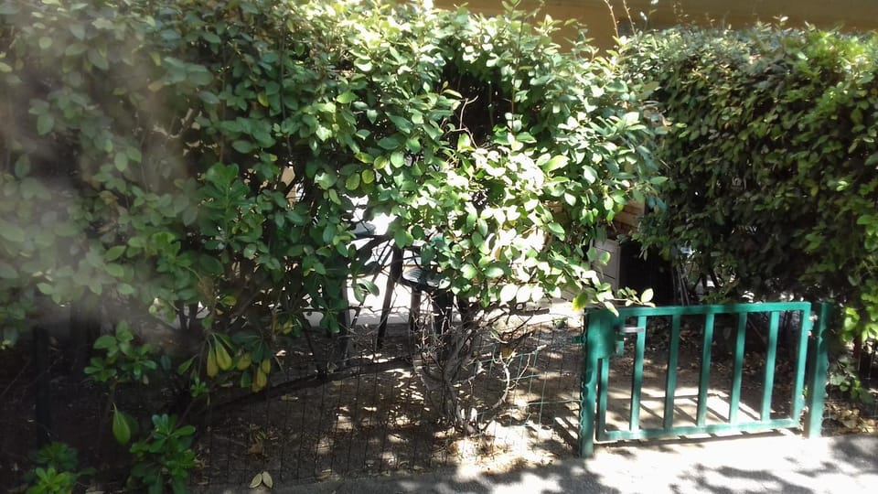 Studio Jardinet Apartment in Lattes