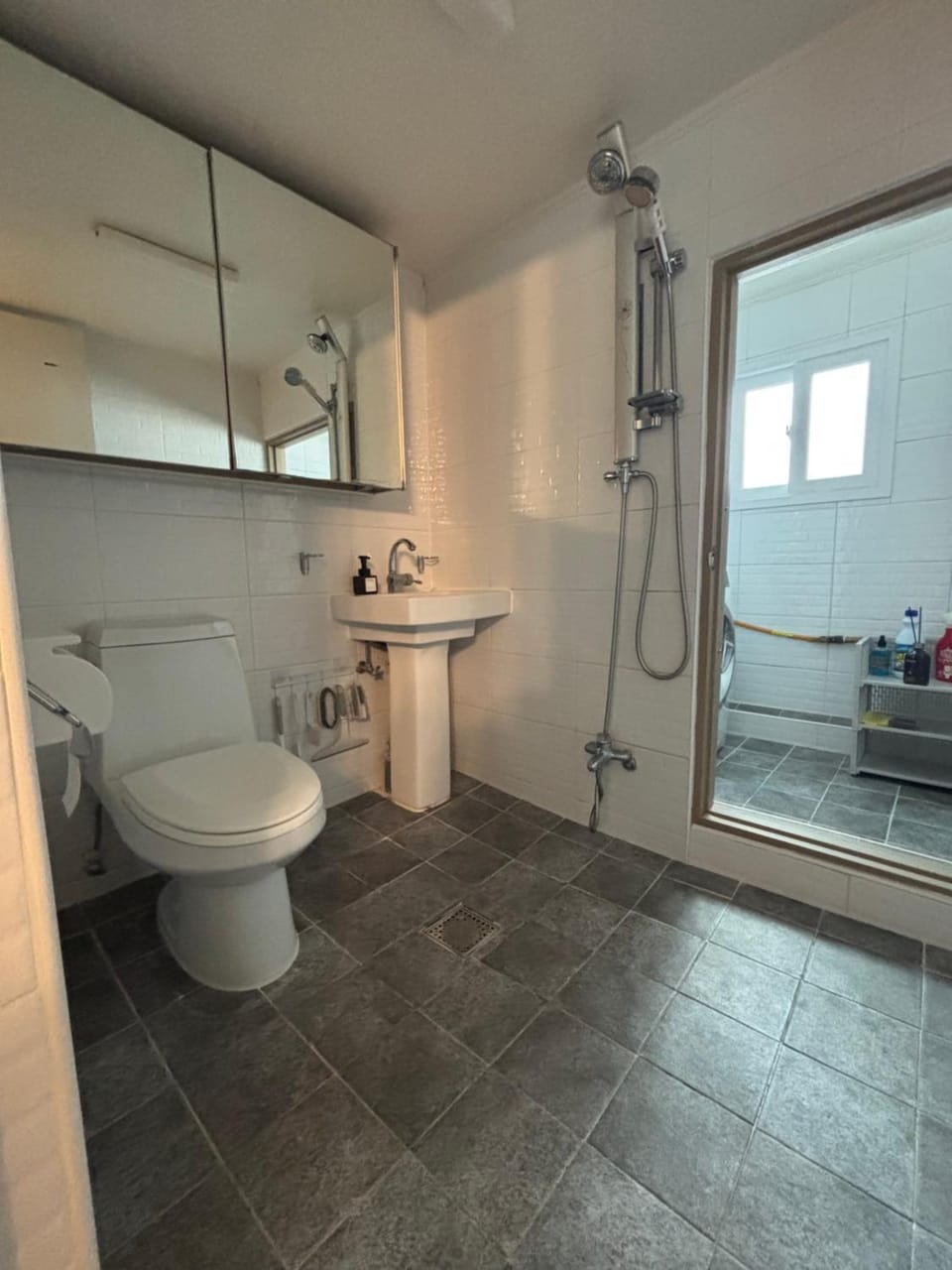 Shower, Toilet, dryer