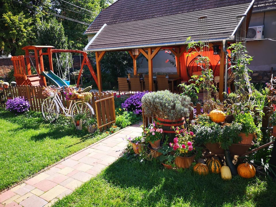 Children play ground, Garden