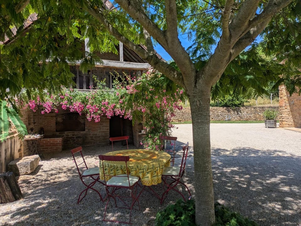Property building, Patio, Day, Garden, Dining area, Garden view