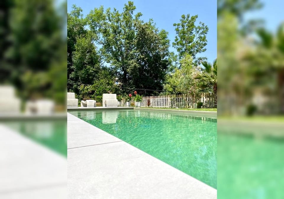 Spring, Day, Natural landscape, Garden, Garden view, Pool view, Swimming pool, sunbed
