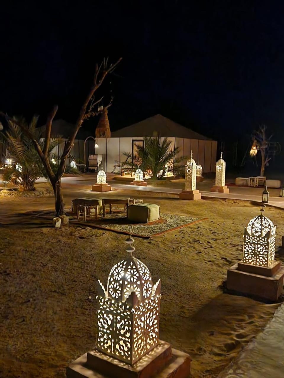 Night, Garden, Garden view