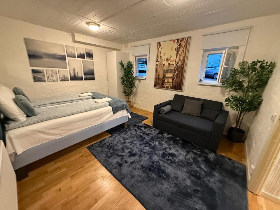 Bed, Living room, Photo of the whole room, Seating area, Bedroom