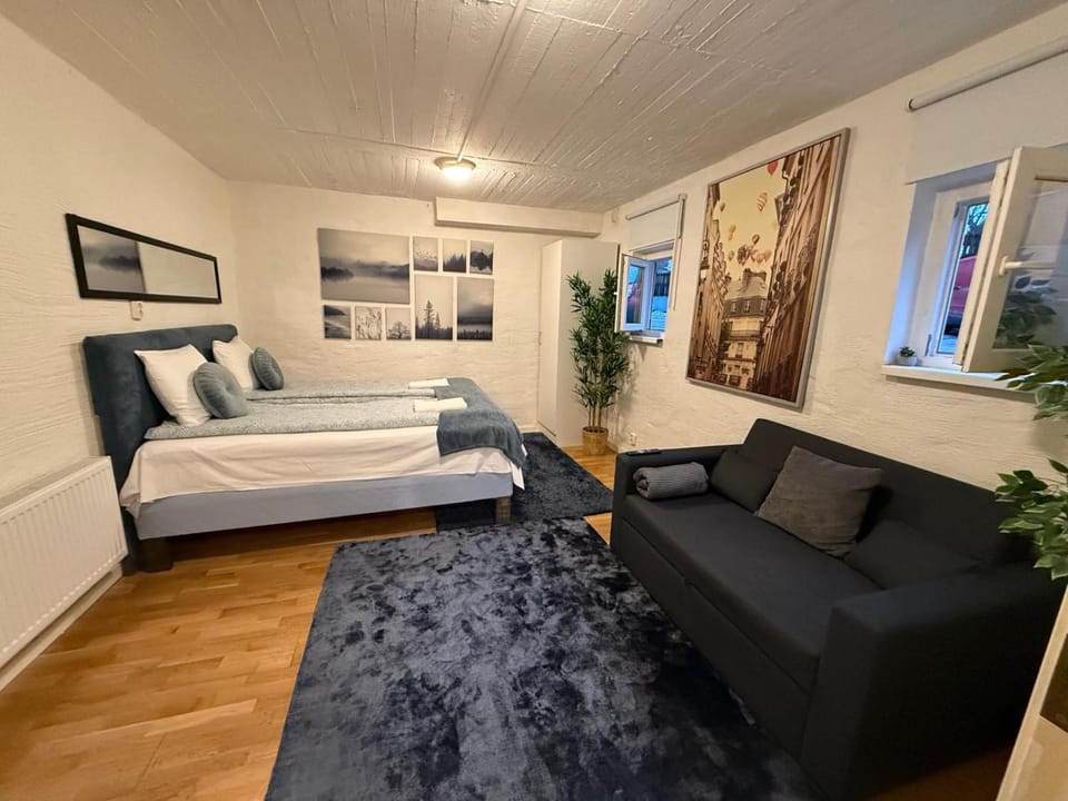Bed, TV and multimedia, Living room, Photo of the whole room, Seating area, Bedroom