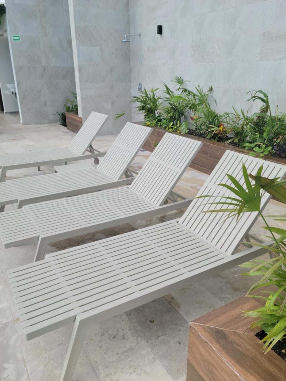 Patio, sunbed