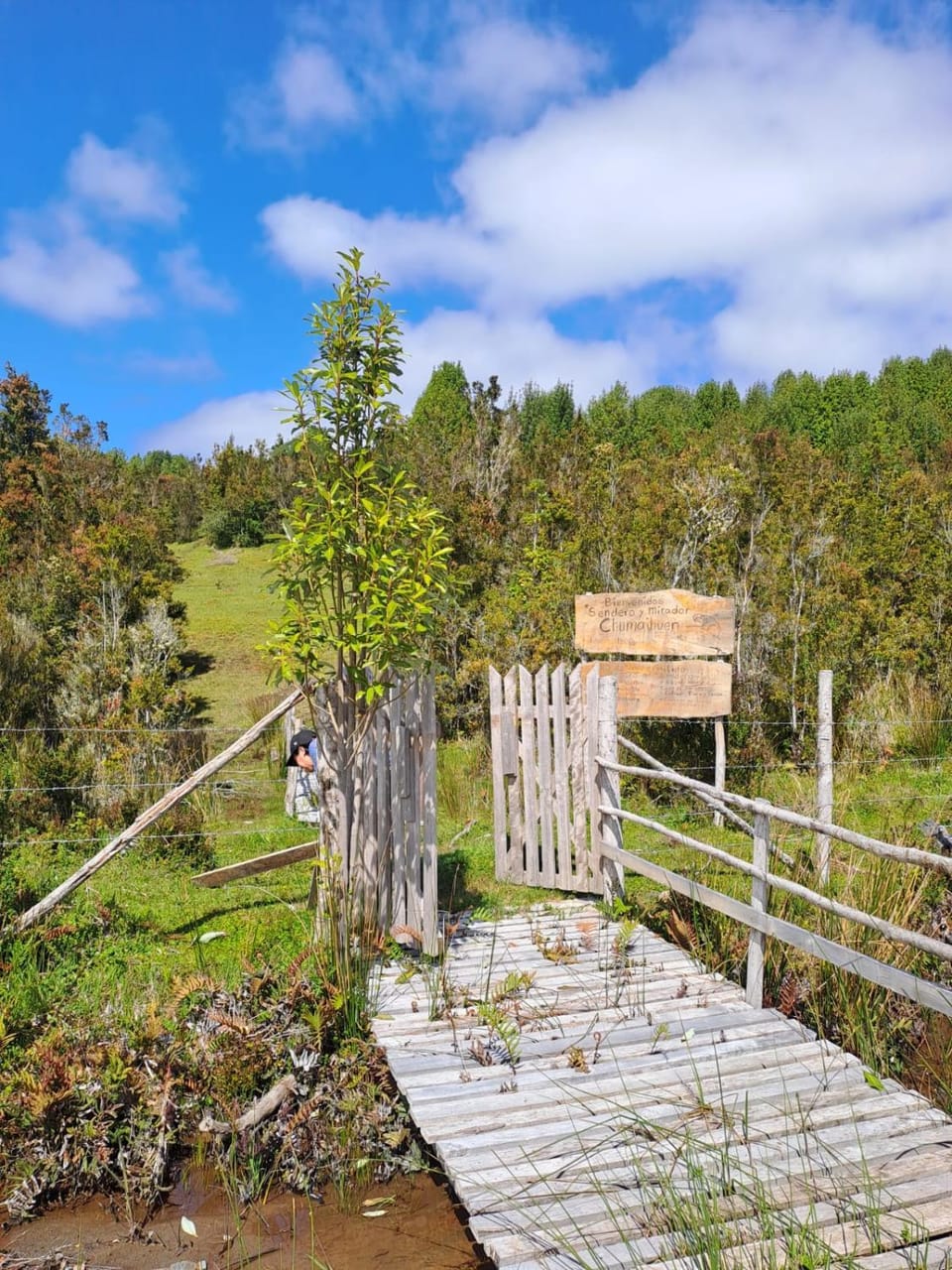Hospedaje Chumaihuen Country House in Los Lagos, Chile