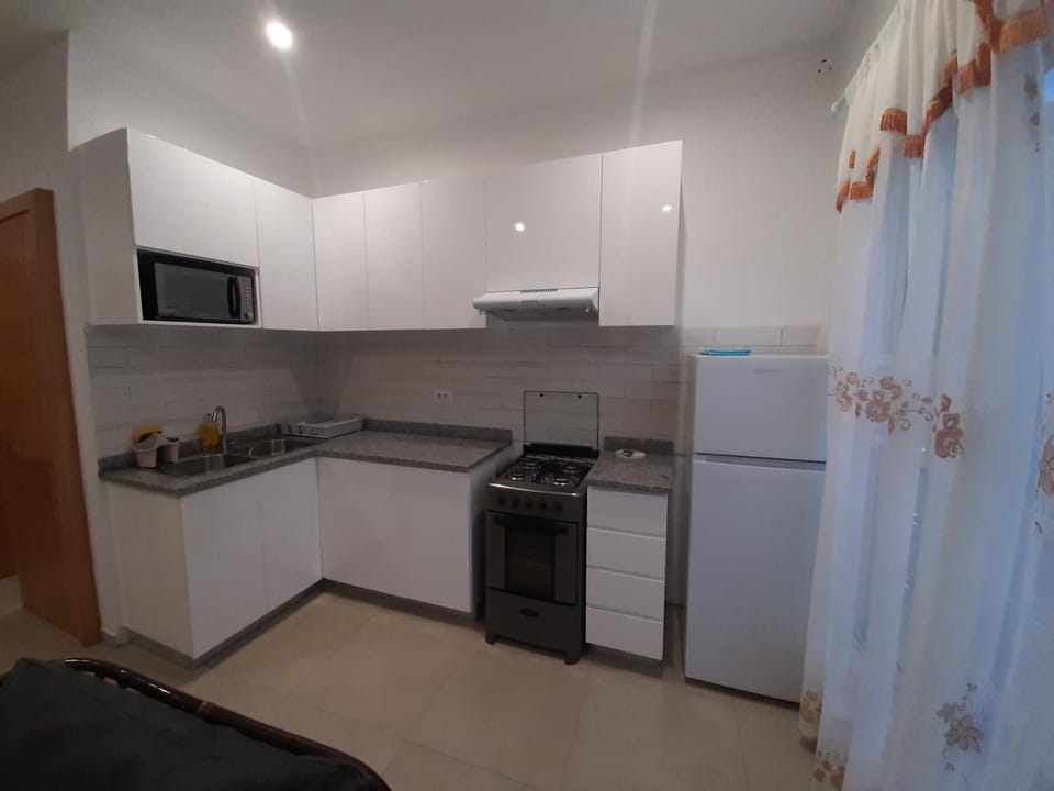 Kitchen or kitchenette, oven, stove