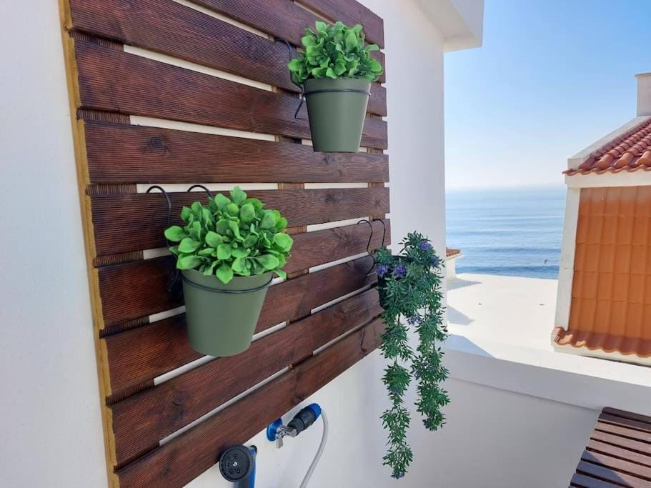Apartment Oceans Window Apartment in Ericeira