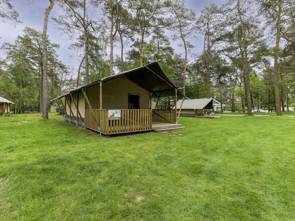 Property building, Summer