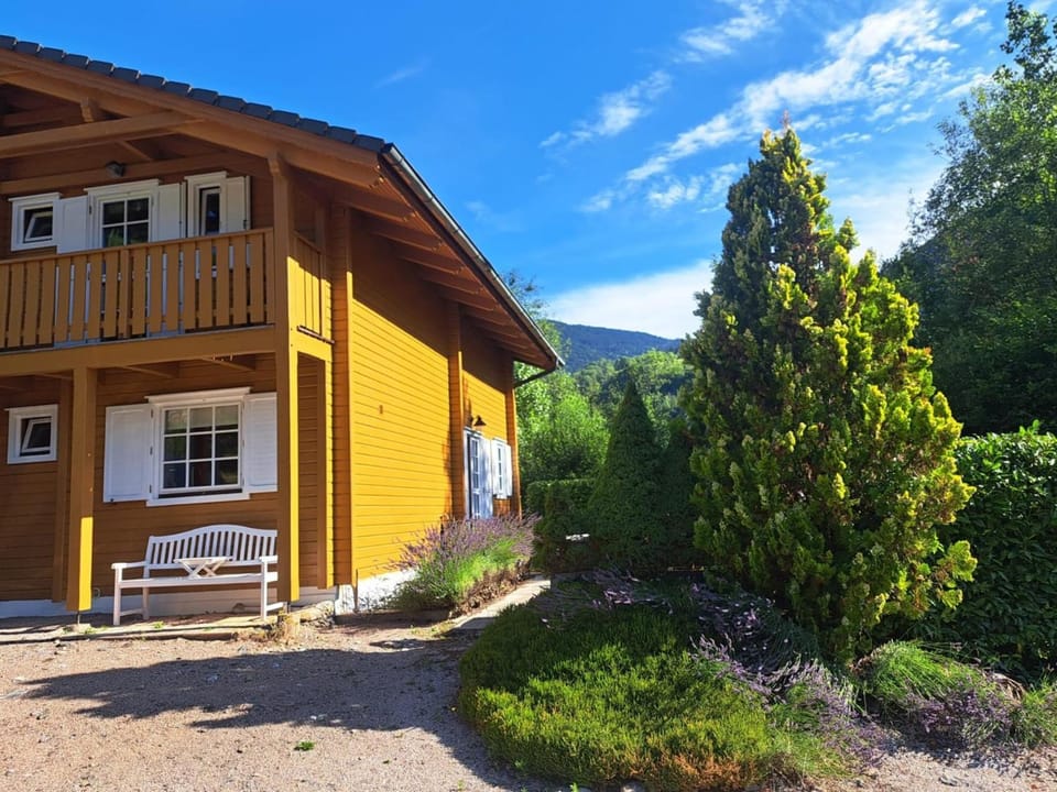 Summer, Garden