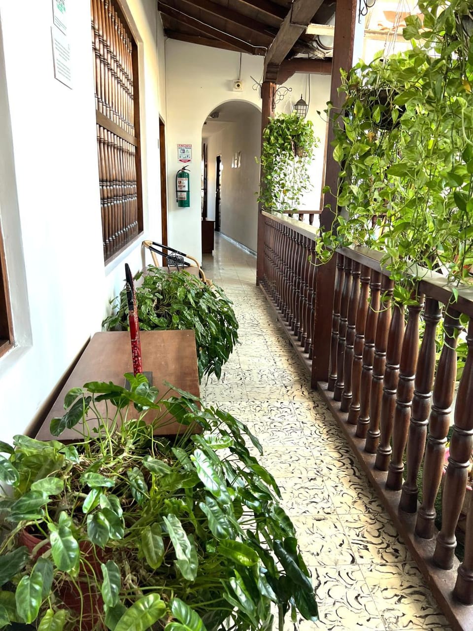 Garden view