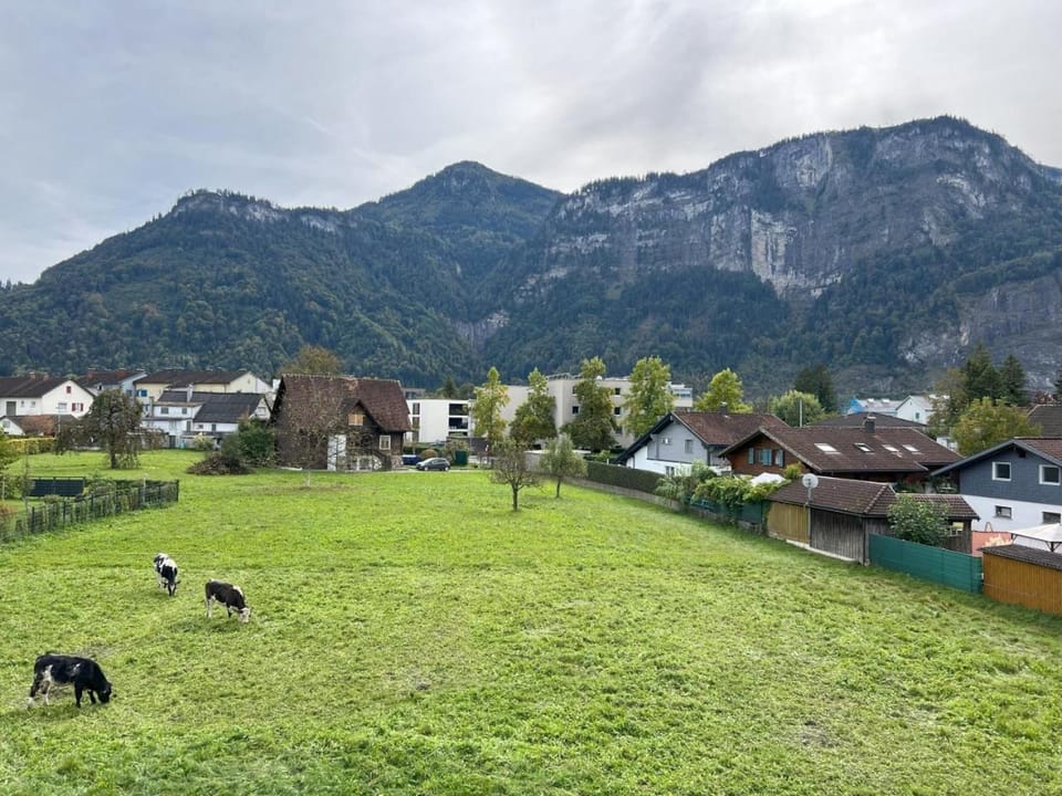 Mountain view