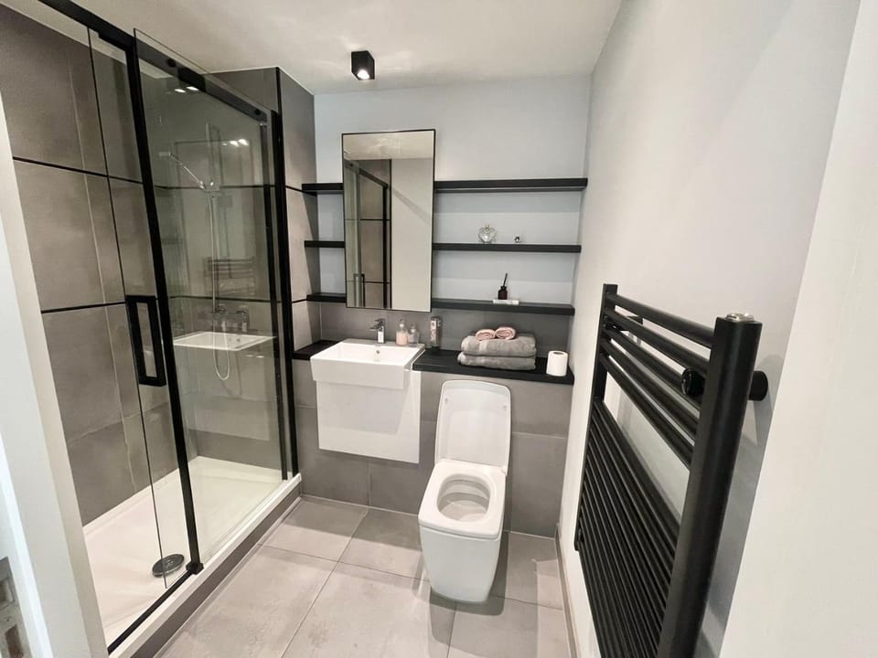 伦敦市中心两卧室整套高层高层河景公寓 Apartment in London