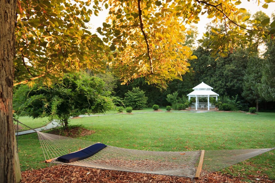Garden, Area and facilities