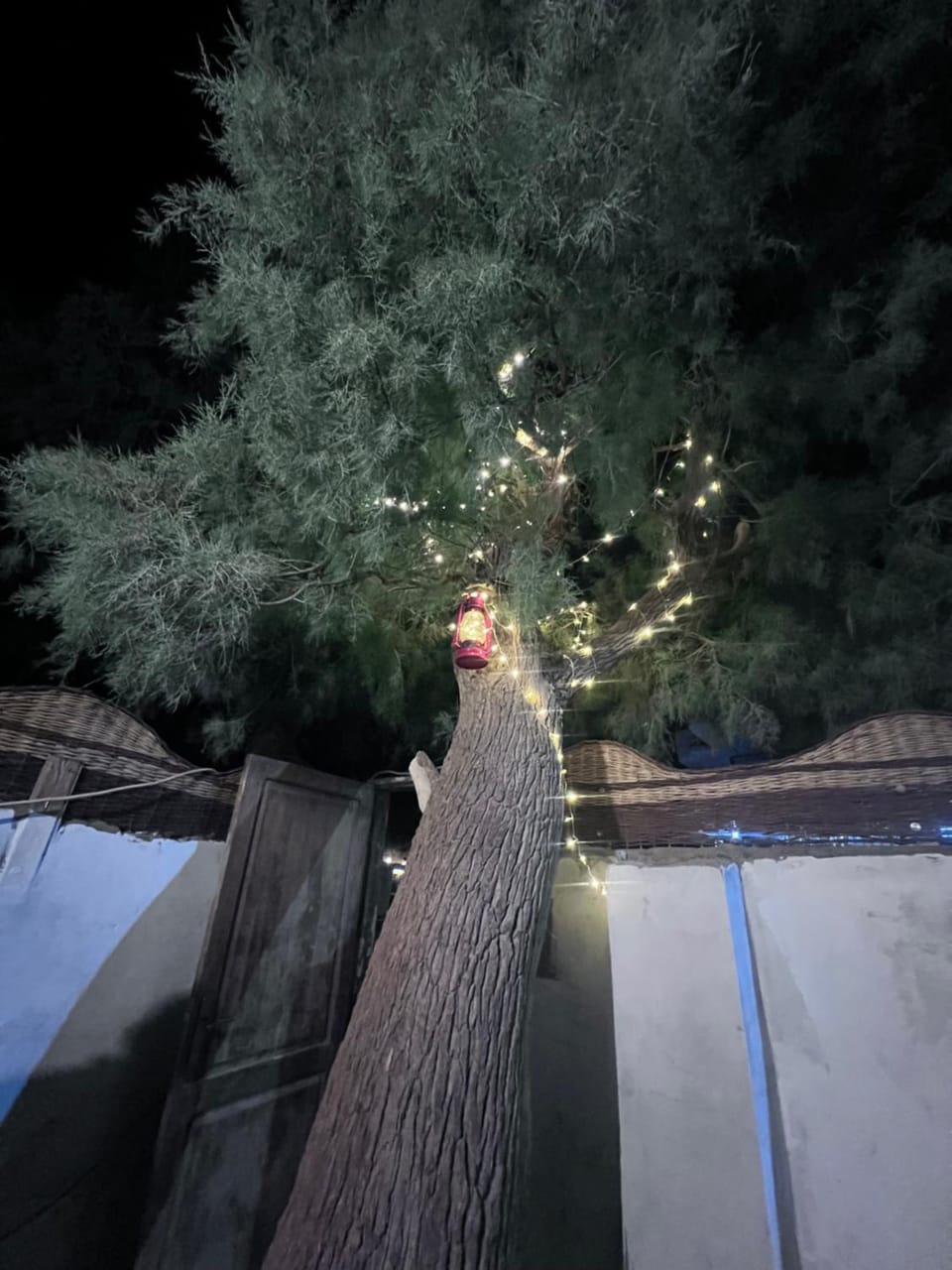 Night, Natural landscape, Garden