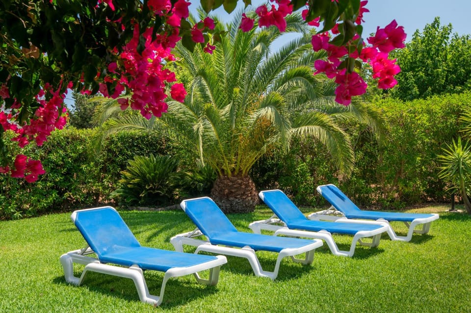 Day, Natural landscape, Summer, Garden, Garden, Garden view, Pool view, Swimming pool, Swimming pool, sunbed
