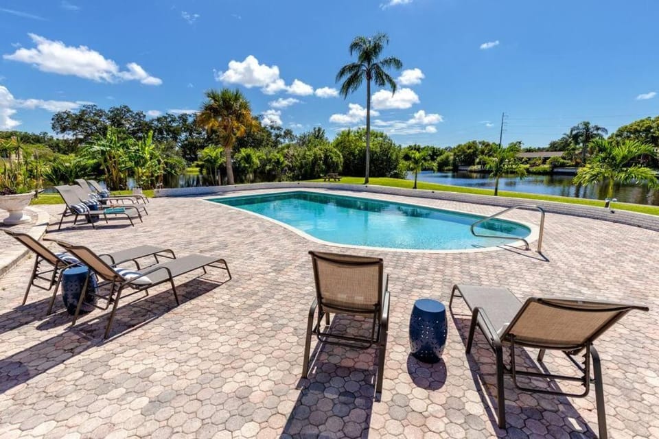 Swimming pool, Swimming pool, sunbed