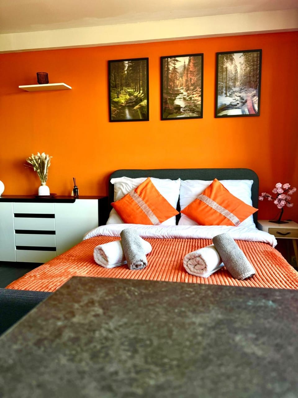 Bed, Living room, Photo of the whole room, Seating area
