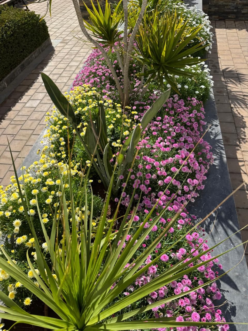 Garden, Garden view