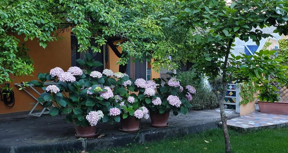 Garden, Garden view