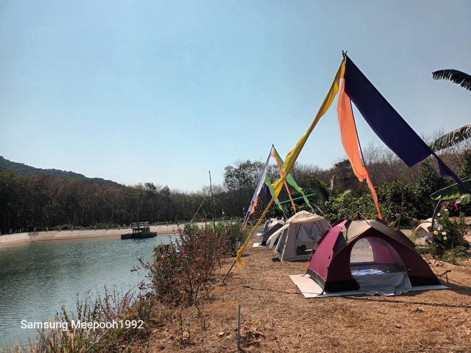 PhaluayCamping Luxury tent in Koh Samui