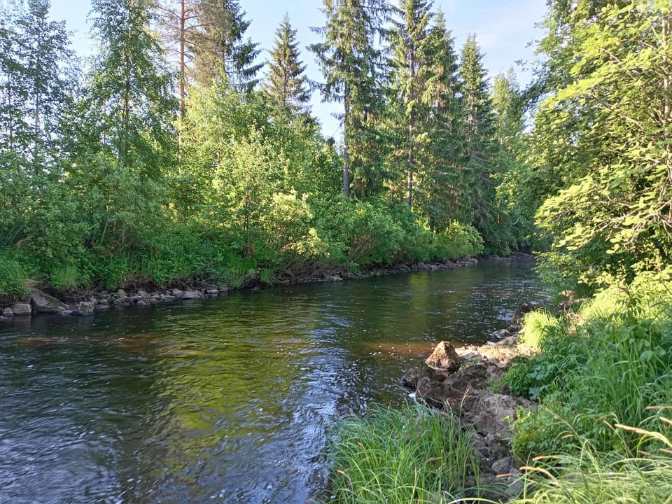 River view