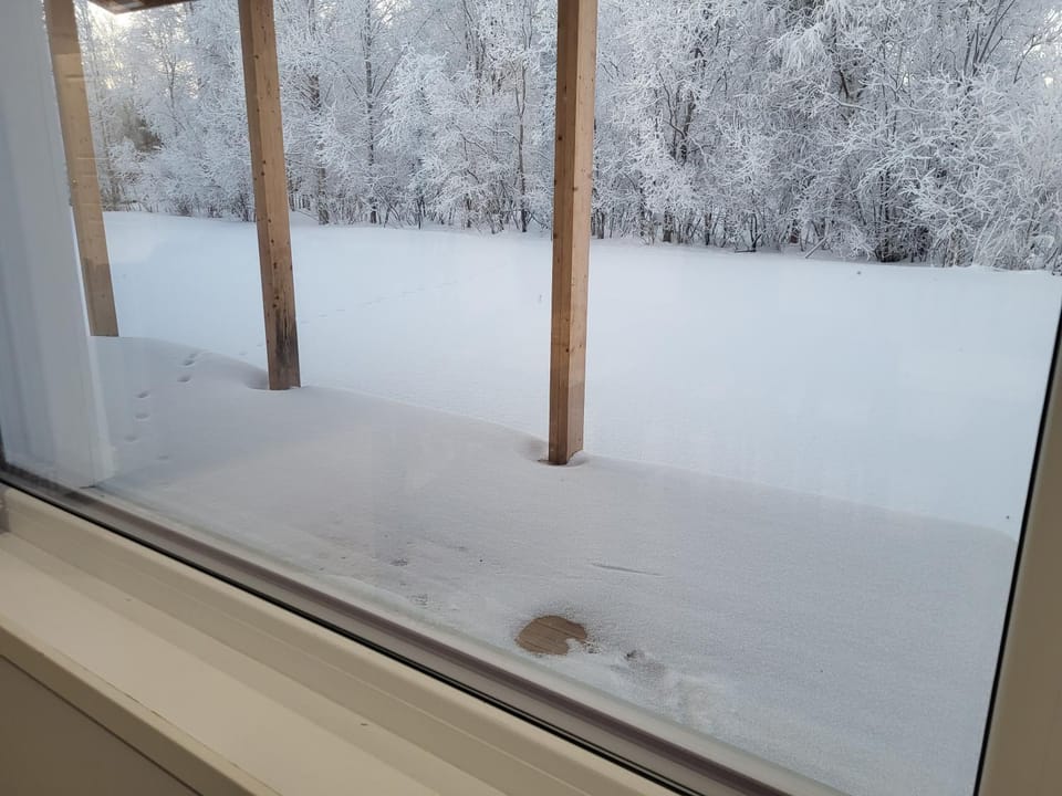 Villa Norlight A Villa in Lapland