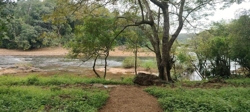 Day, Natural landscape, River view, River view