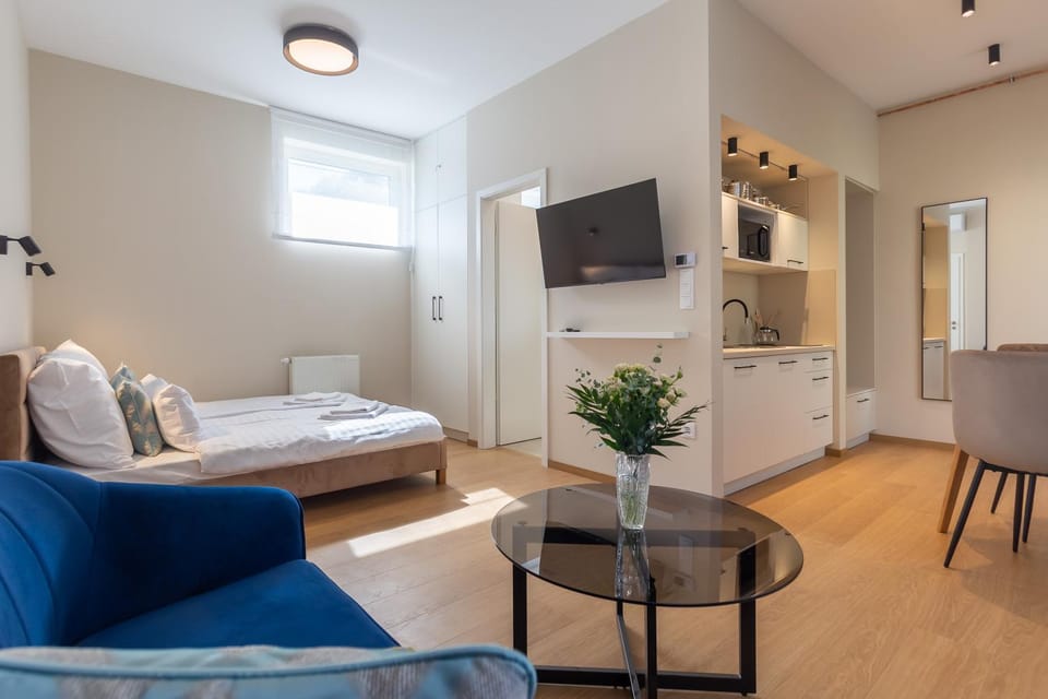 Bed, Kitchen or kitchenette, Living room