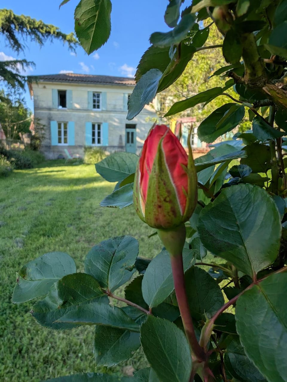La Belle Verte Bed and Breakfast in Nouvelle-Aquitaine