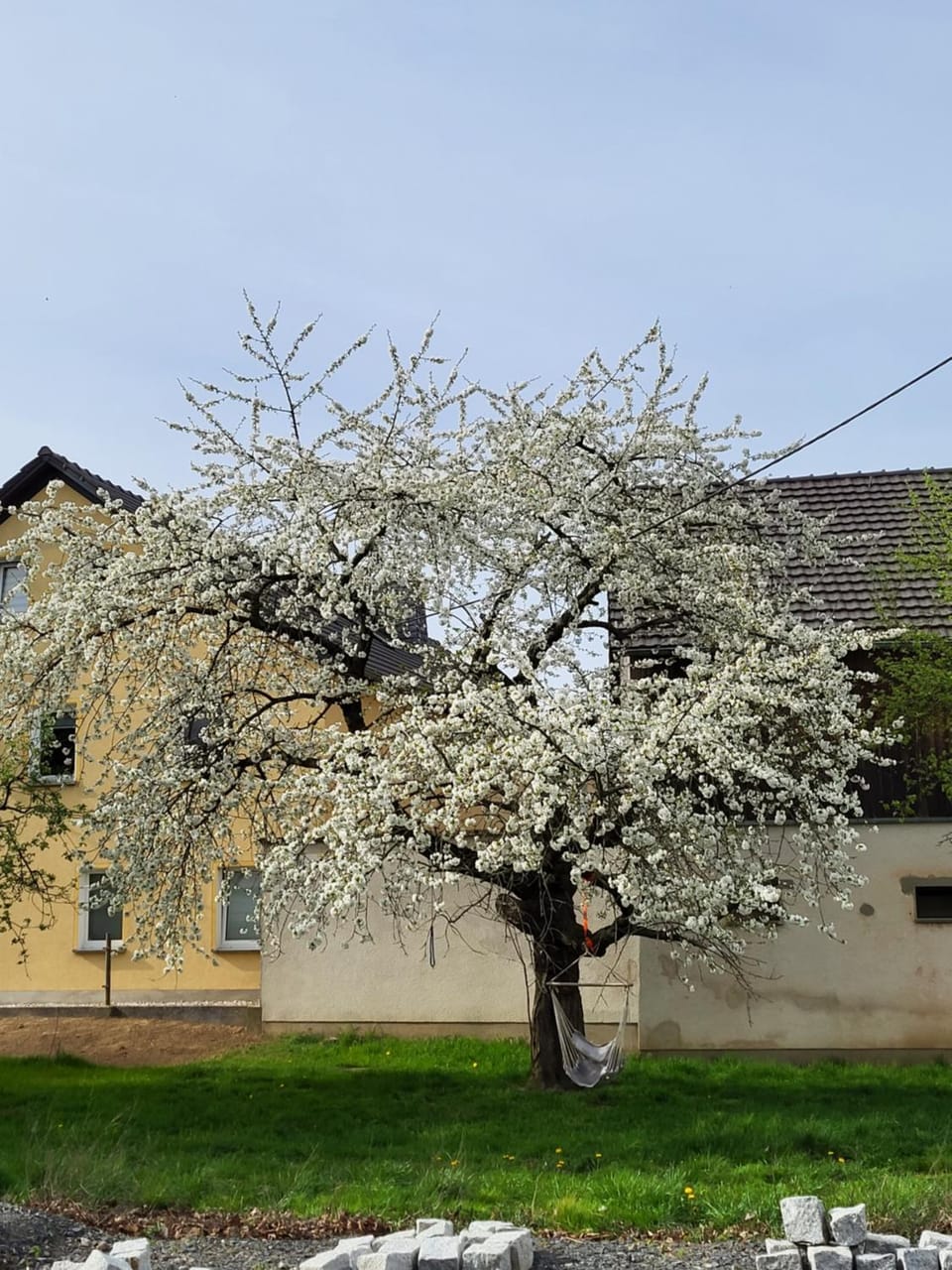 Garden, Garden view