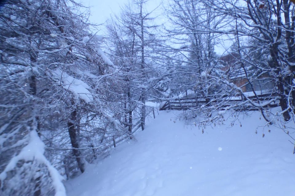 chalet à Orcieres merlette pour 10 Chalet in Provence-Alpes-Côte d'Azur