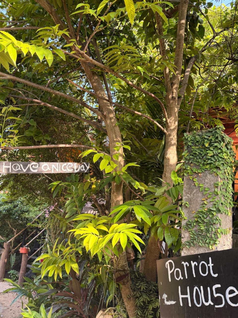 Parrot Tree House House in Mirissa