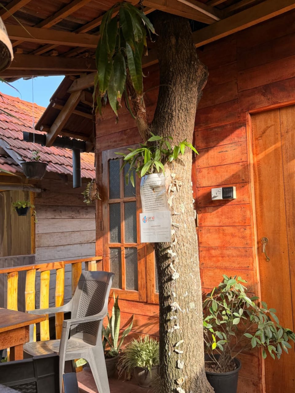 Parrot Tree House House in Mirissa