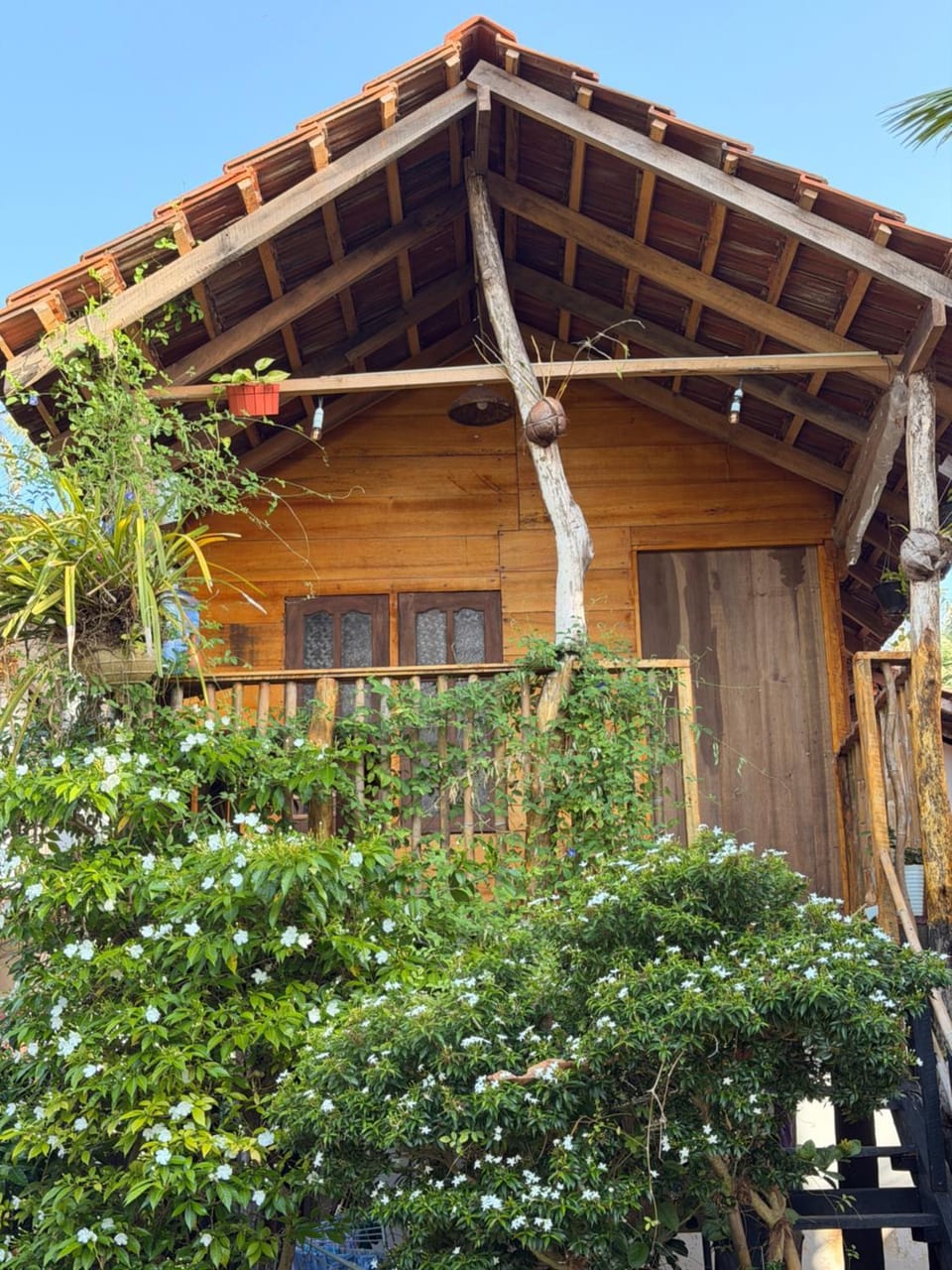 Parrot Tree House House in Mirissa