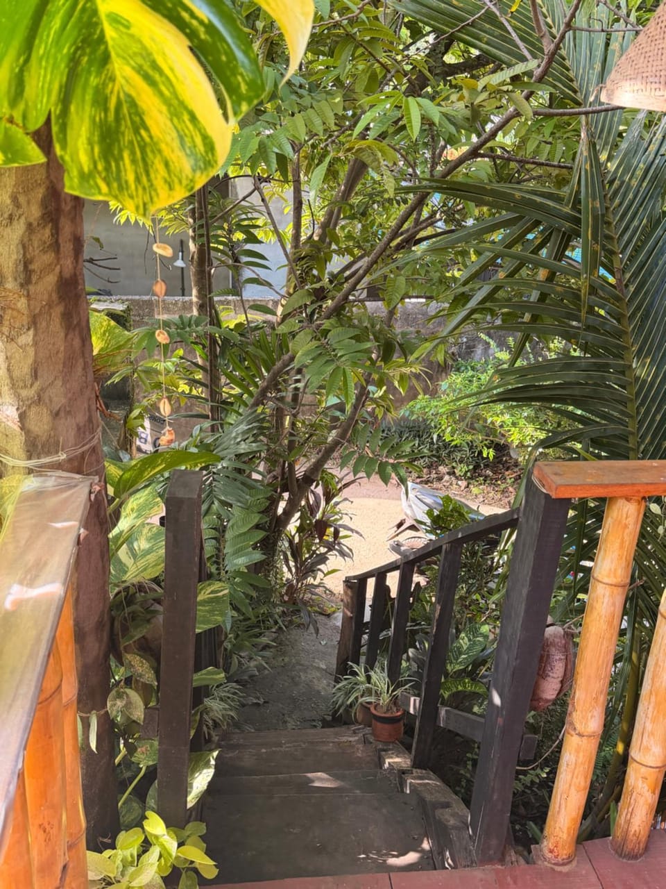 Parrot Tree House House in Mirissa