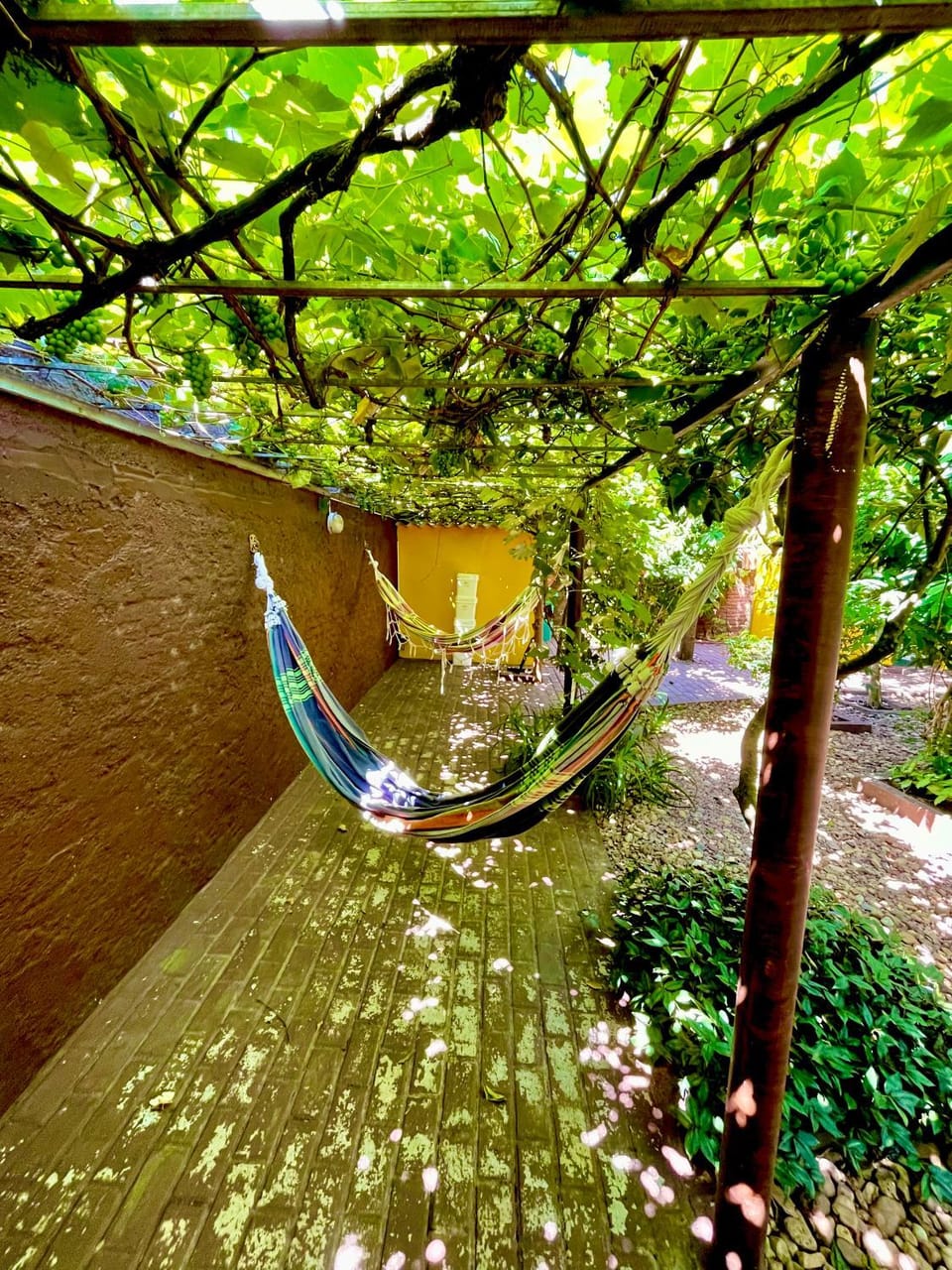 Spring, Garden, Garden view