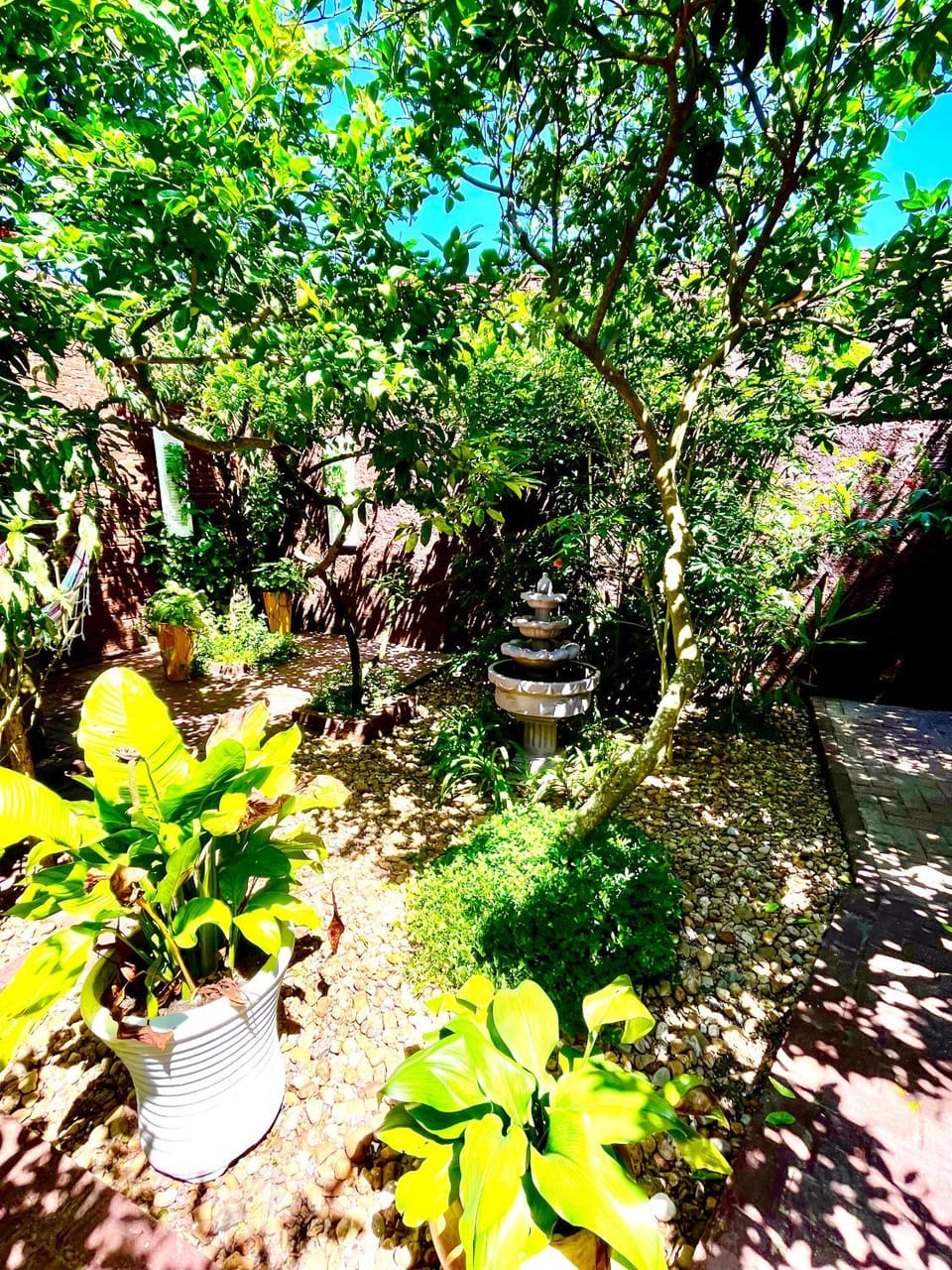 Spring, Garden, Garden view