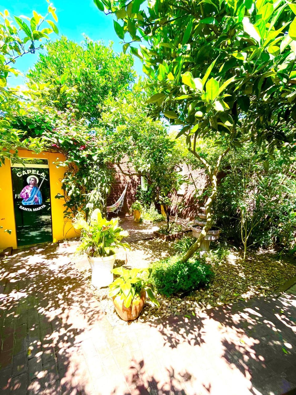 Natural landscape, Garden, Garden view