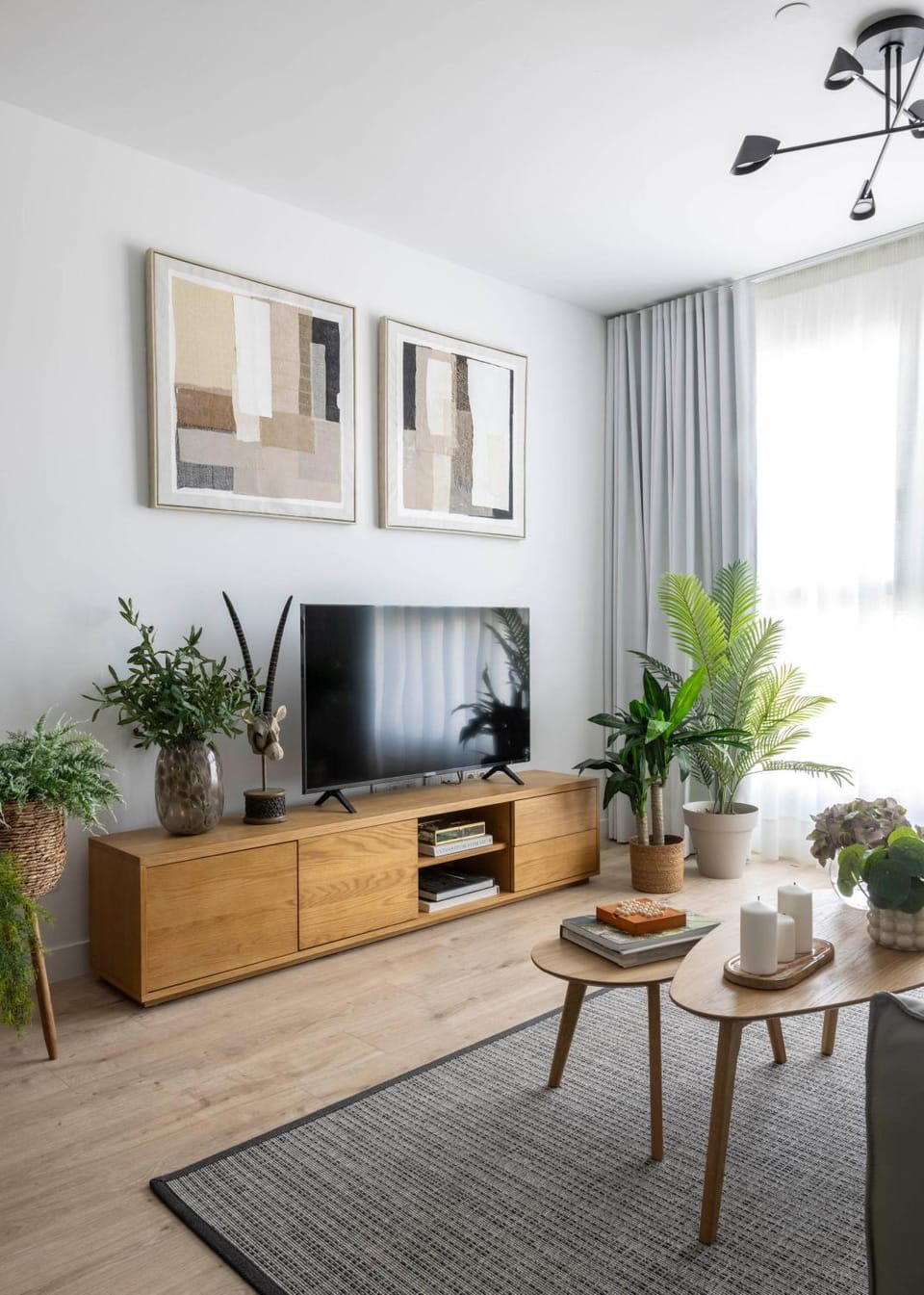 TV and multimedia
