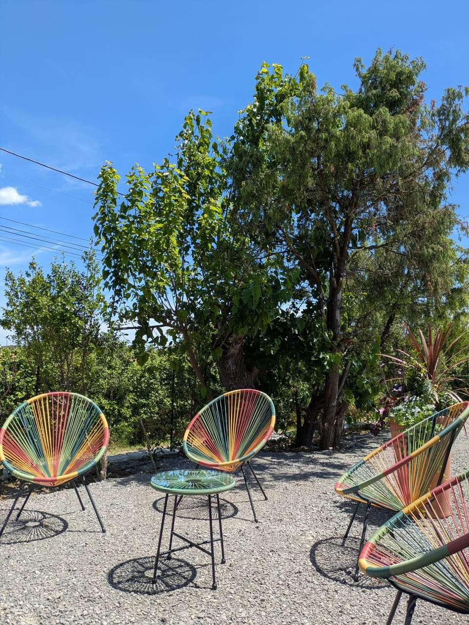 Spring, Day, Garden view