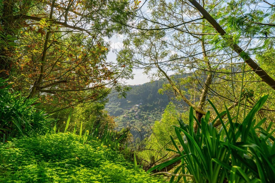 Natural landscape