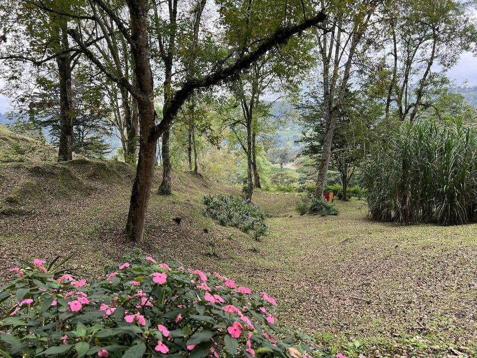 Natural landscape, Garden, Garden view