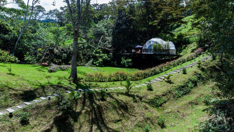 Natural landscape, Garden