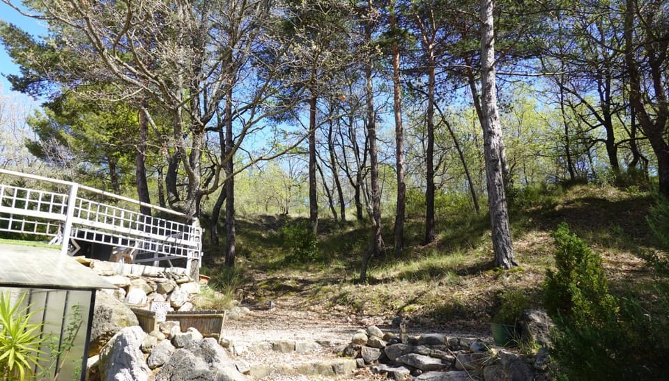 Spring, Natural landscape, Garden view