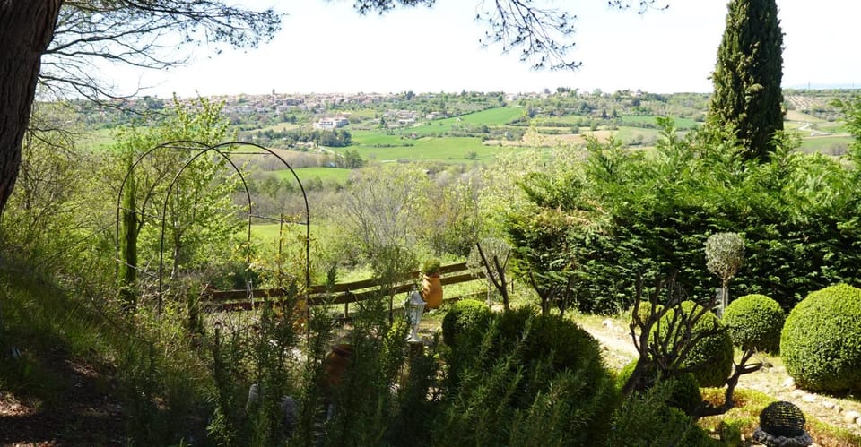 Garden view