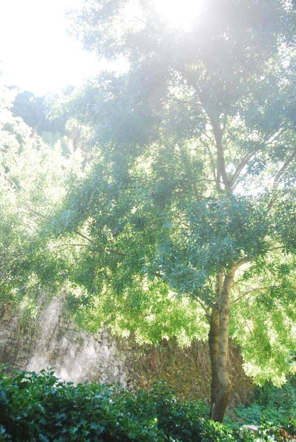Natural landscape