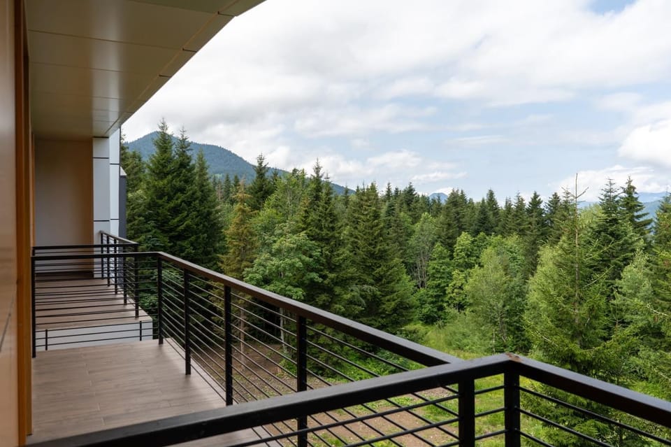 Spring, Day, View (from property/room), Balcony/Terrace, Mountain view