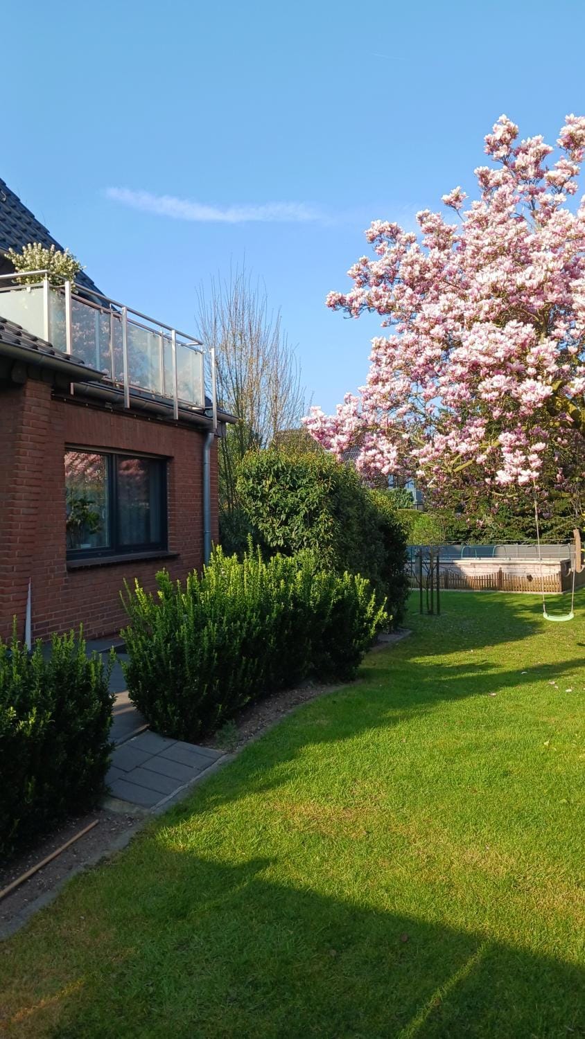 Property building, Garden view, Garden view